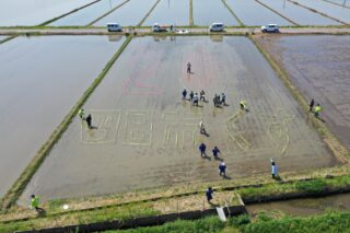 2025田んぼアート田植え体験が開催されました！