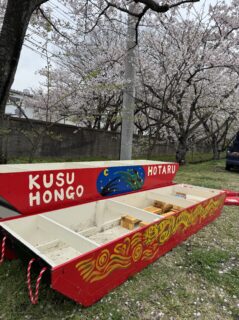 2026宝さくら祭り